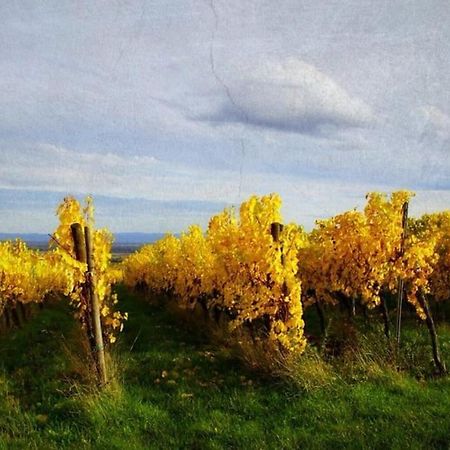 Au Petit Nid De Seebach Εξωτερικό φωτογραφία